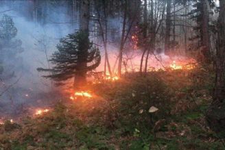 آتش سوزی در جنگل‌های شمال مهار شد
