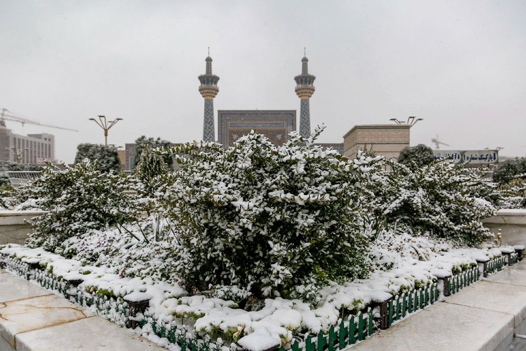 بارش اولین برف پاییزی در مشهدالرضا