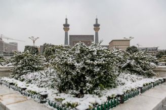بارش اولین برف پاییزی در مشهدالرضا