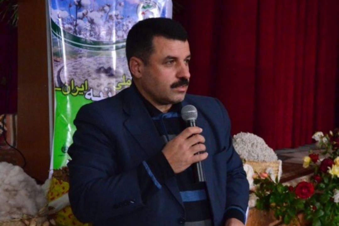 معرفی 2 رقم جدید پنبه به روش پرتوتابی، بزودی