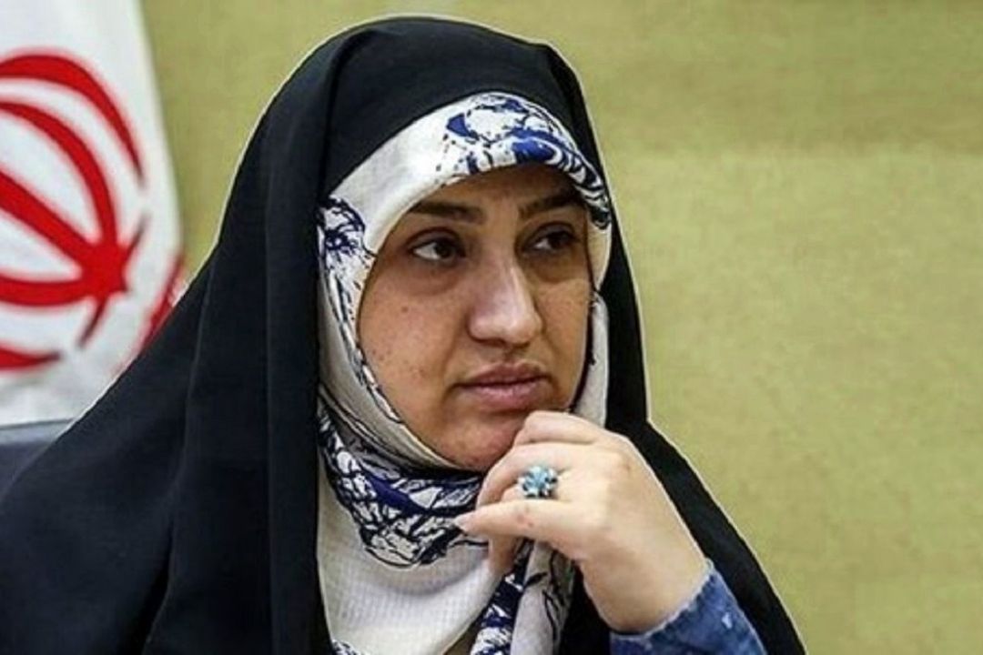 بیشتر مصوبات دولت، ضد محیط زیست است