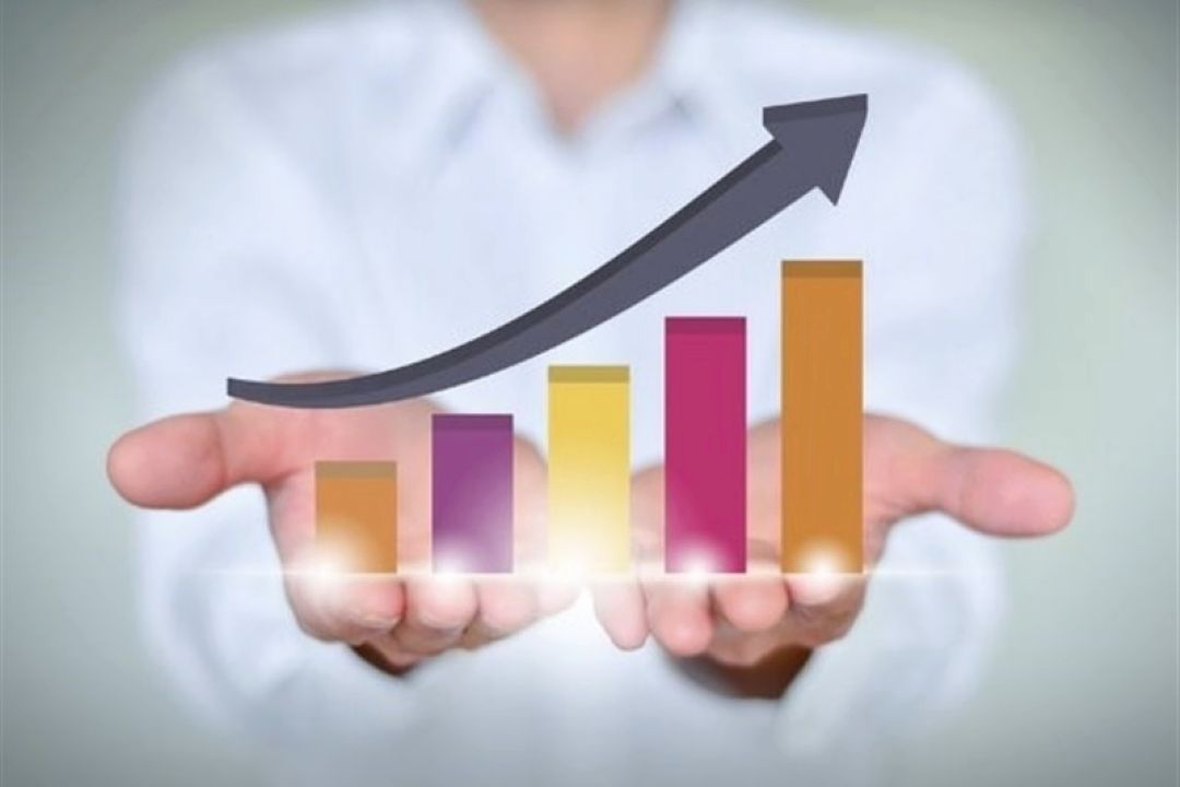 30 شركت دولتی اطلاعات خود را به سازمان بهره وری ارسال نكردند