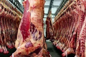  قیمت گوشت در برخی سایت‌ها دستكاری شده است