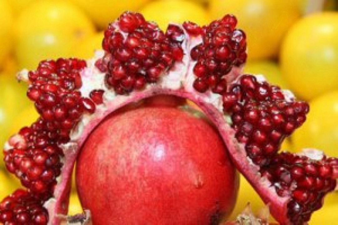  اگر شبی از شب های زمستان مسافری...
