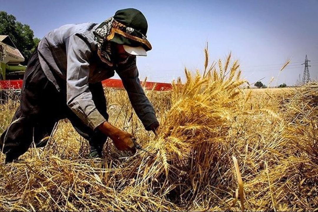 رونق اشتغال روستاها و عشایر با تسهیلات 6درصد
