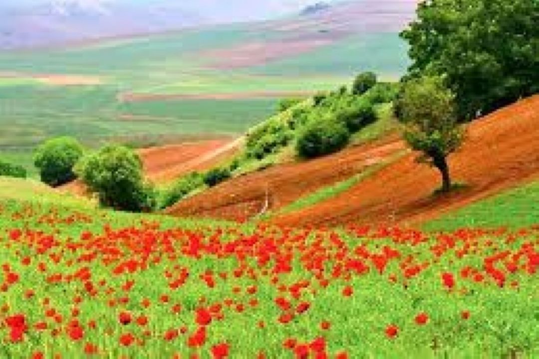 قطعه ای با عنوان غربت باباتی با صدای رامین غزنوی
