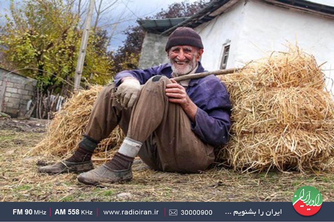 فعالان روستایی در عرصه تولید به حمایت دولت نیازمند است