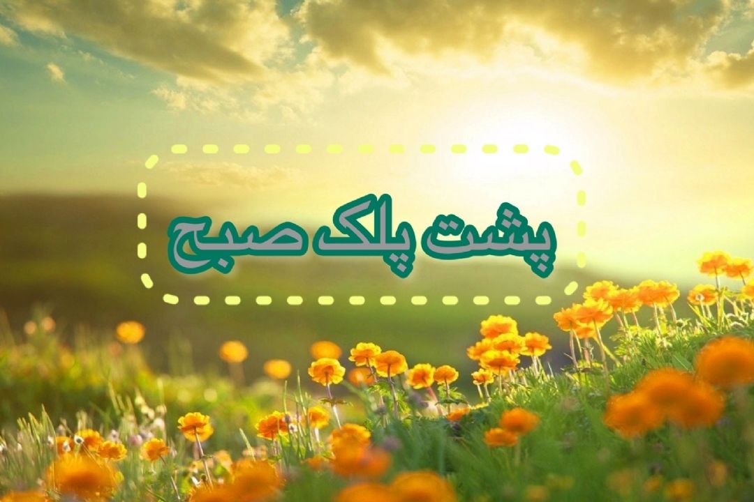 سپاسگذاری در «پشت پلك صبح» رادیو سلامت