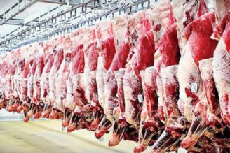 تامین گوشت گوسفندی و گوساله منجد بدون محدودیت در سطح بازار