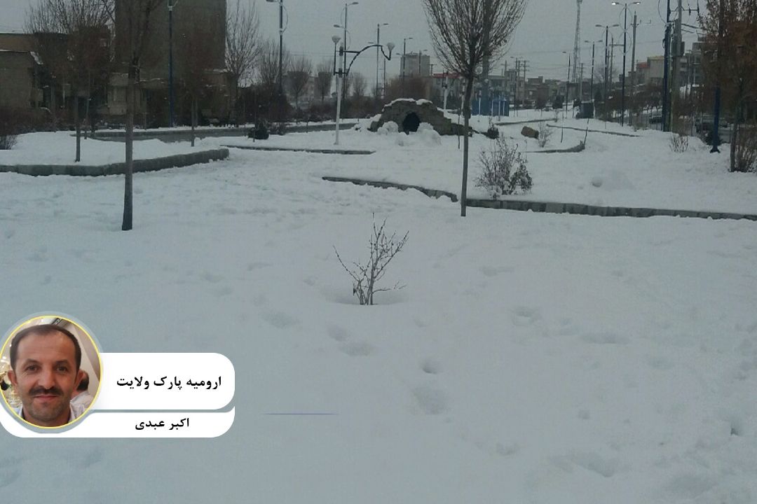 عكس ارسالی مخاطب گرامی " اكبر عبدی " با عنوان " ارومیه، پارك ولایت  "