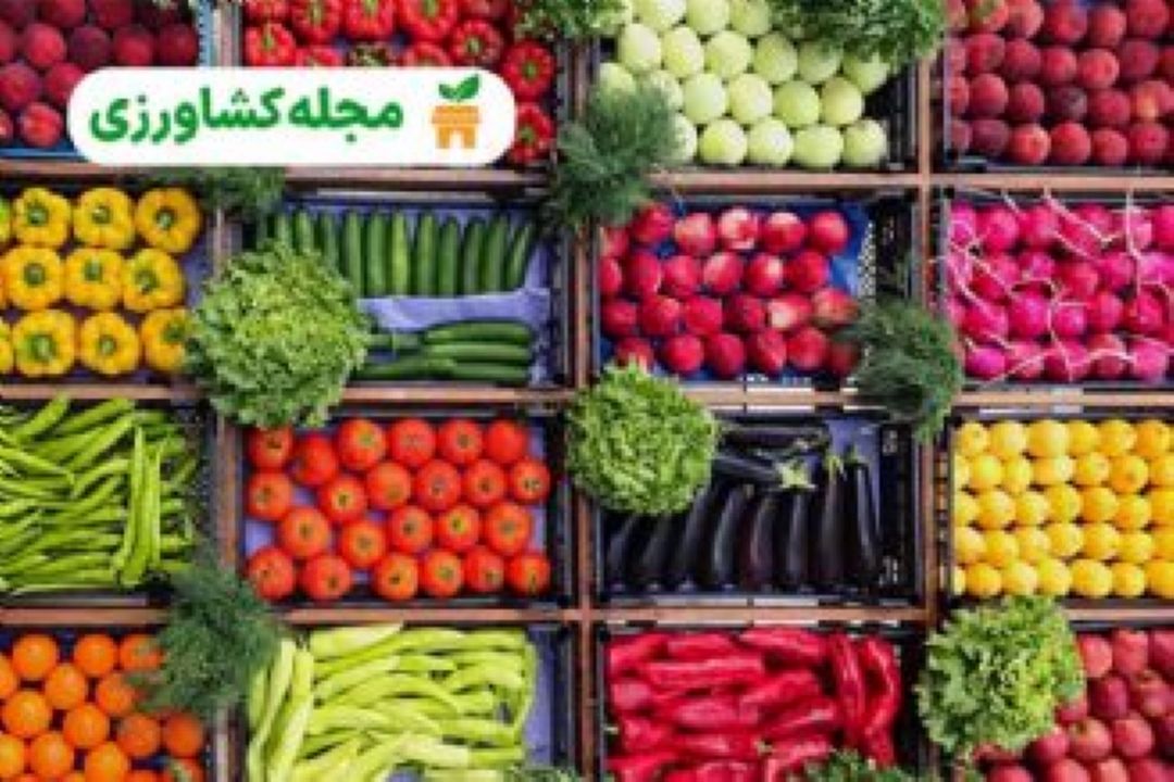 مزایای ایجاد باراندازهای محصولات كشاورزی در كشور