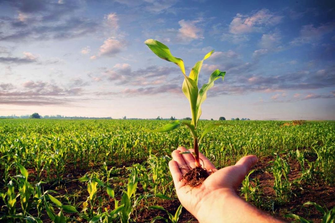 پیشگیری، درمان و مدیریت عوارض بیماری از وظایف پدافند زیستی است