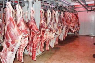 واردات گوشت ادامه دارد/ گوشت ارزان می‌شود