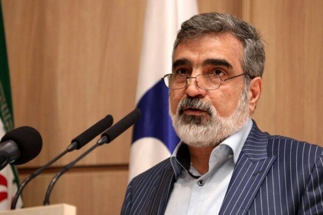 با تكیه بر توانمندی های داخلی؛ رآكتور هسته ای می سازیم