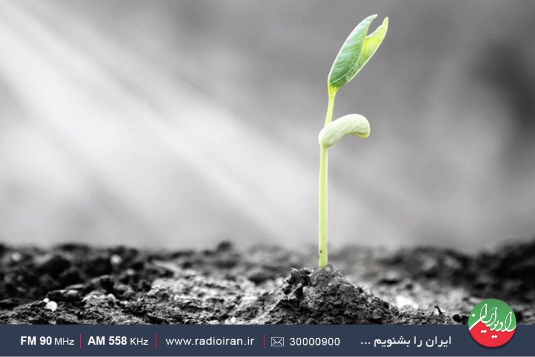 ما انسان ها چقدر در زندگی بردبار و صبور هستیم؟