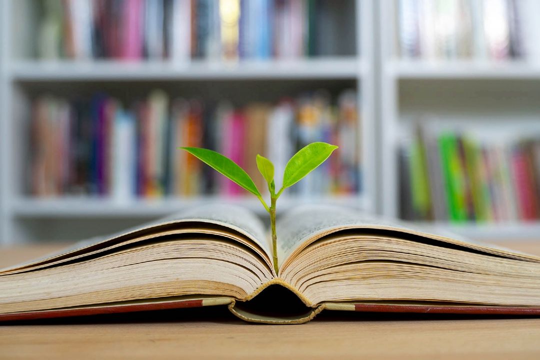 پیشنهاد مطالعه در «بیمارستان صبا»
