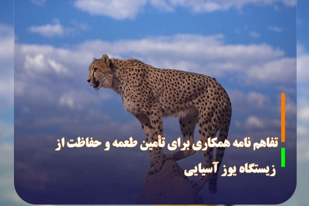 تفاهم نامه همكاری برای تأمین طعمه و حفاظت از زیستگاه یوز آسیایی
