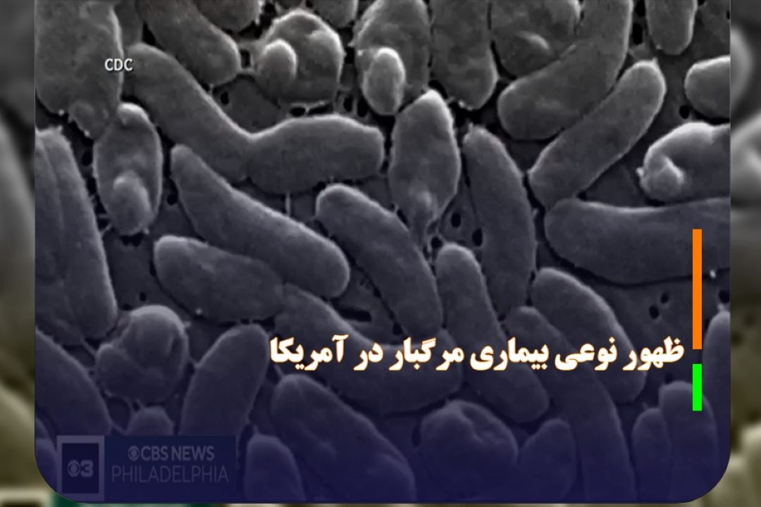 ظهور نوعی بیماری مرگبار در آمریكا