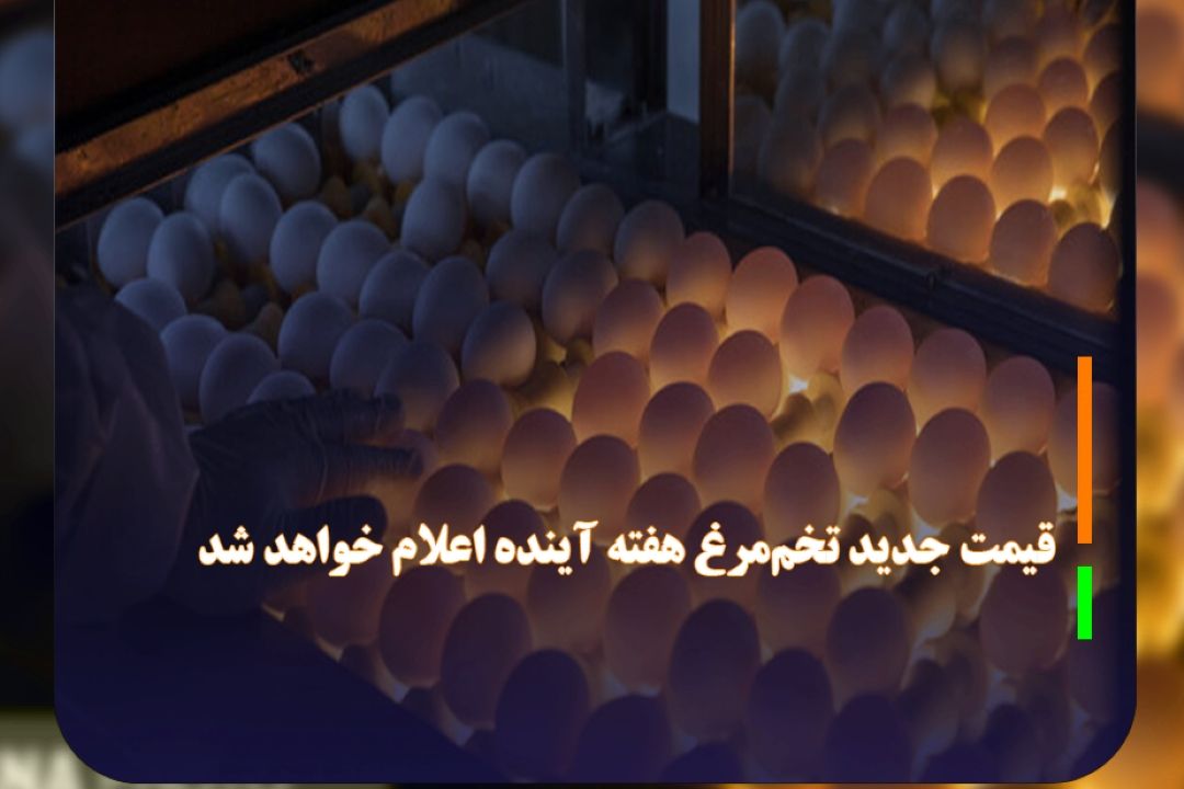 تخم ‌مرغ گران نشده/ قیمت‌های جدید هفته‌ آینده اعلام می‌شود