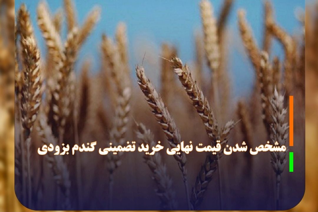 مشخص شدن قیمت نهایی خرید تضمینی گندم بزودی