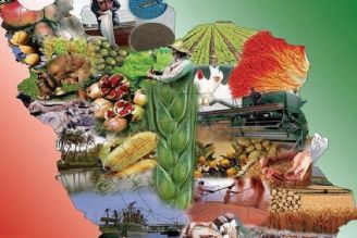 «سند ملی و دانش بنیان امنیت غذایی» در یك قدمی تصویب