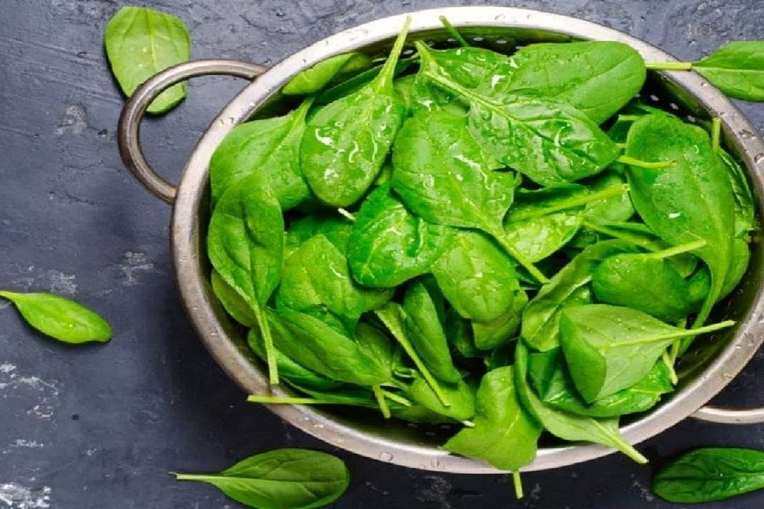 بهترین منبع گیاهی آهن و فولیك اسید را بشناسید