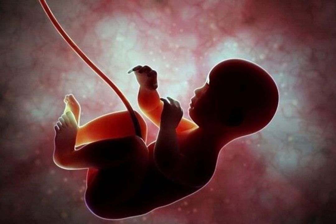 غذاهای ممنوعه در بارداری