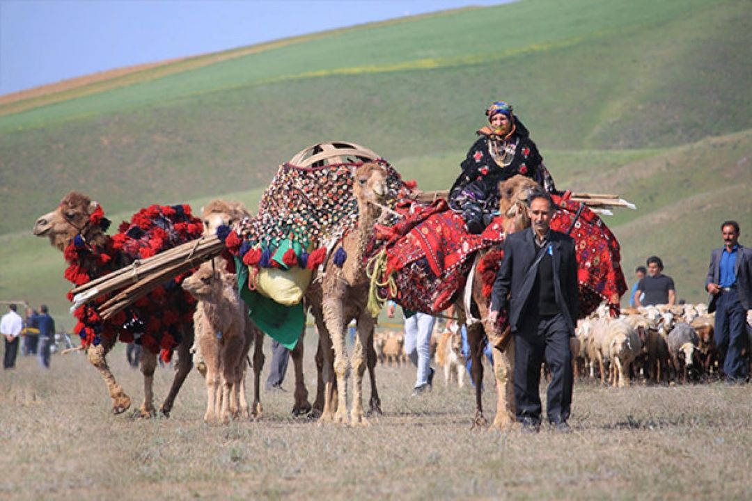 ترانه ها و آوازهای كار از زندگی عشایری در استان ایلام  