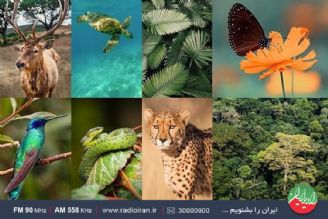 برنامه «سیاره آبی» به بهانه روز جهانی تنوع زیستی با دكتر پرهام دیباج كارشناس حیات وحش و تنوع زیستی 