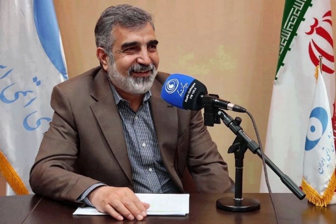 دستاوردهای هسته‌ای زندگی ایرانیان را متحول می‌كند/ رسانه‌ها اطلاع‌رسانی كنند