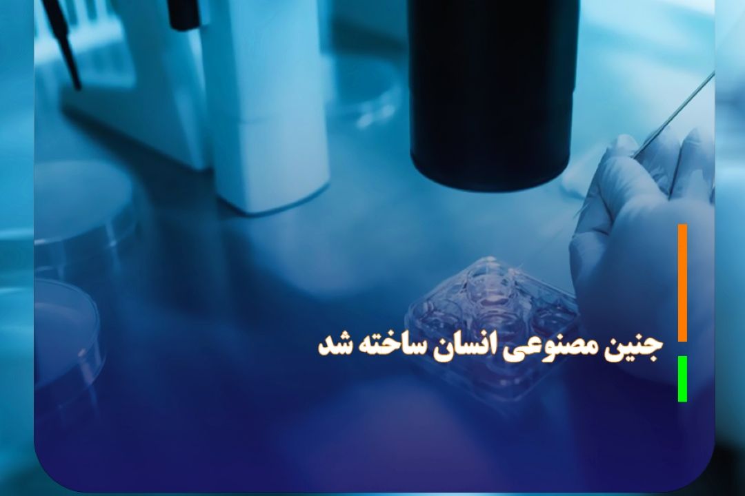 جنین مصنوعی انسان ساخته شد