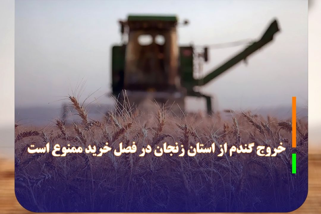 خروج گندم از استان زنجان در فصل خرید ممنوع است