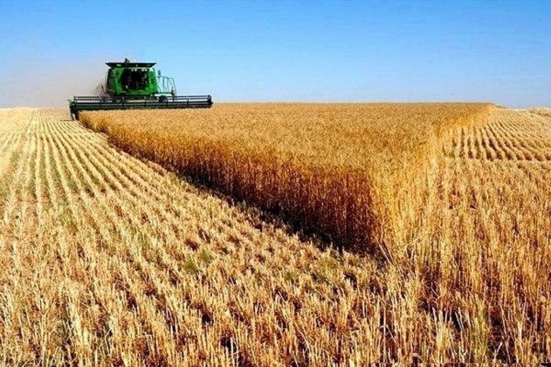 مهمترین اصل زارعت، رعایت تناوب كشت است.