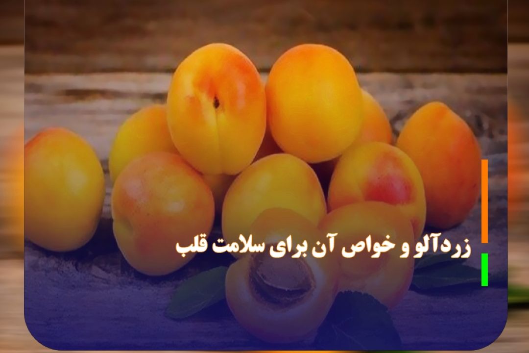 زردآلو و خواص آن برای سلامت قلب