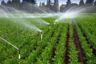  ظرفیت عظیم آب سبز در افزایش محصولات كشاورزی 