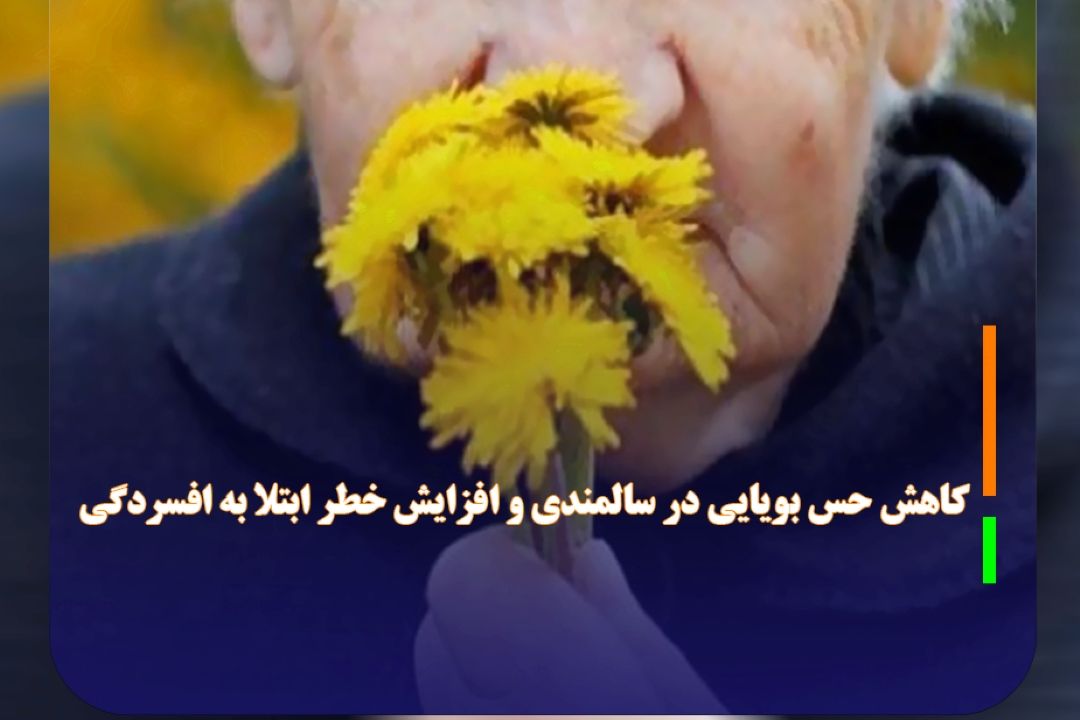 كاهش حس بویایی در سالمندی و افزایش خطر ابتلا به افسردگی