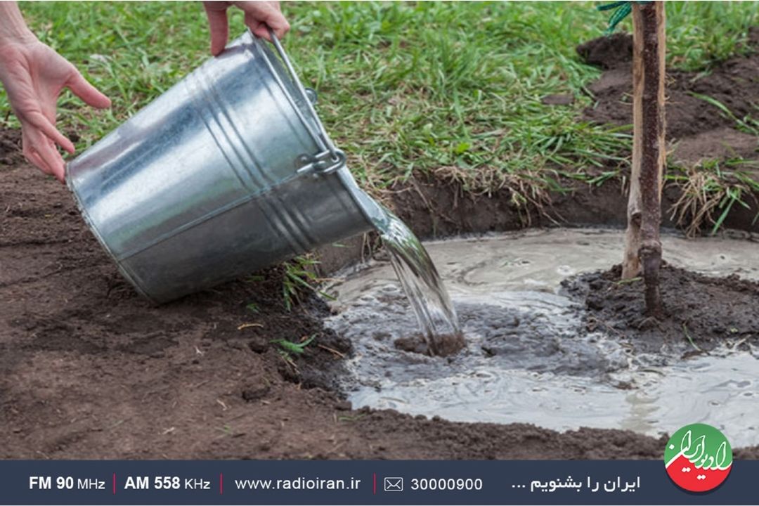 هر نهالی كه كاشته می شود نیازمند مراقبت و حفاظت است