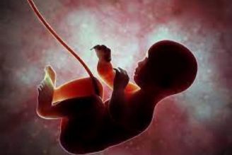 قانونگذار در موضوع سقط جنین دغدغه افزایش جمعیت ندارد