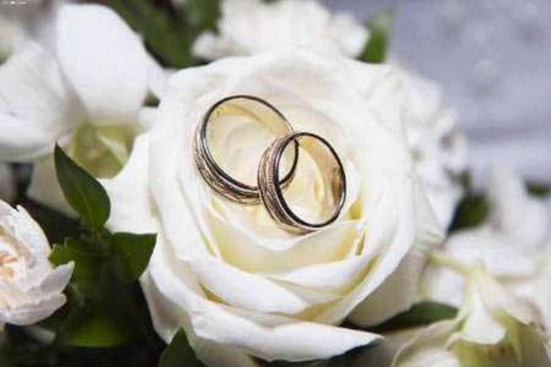 حرف بچه رو از راست بشنوید 