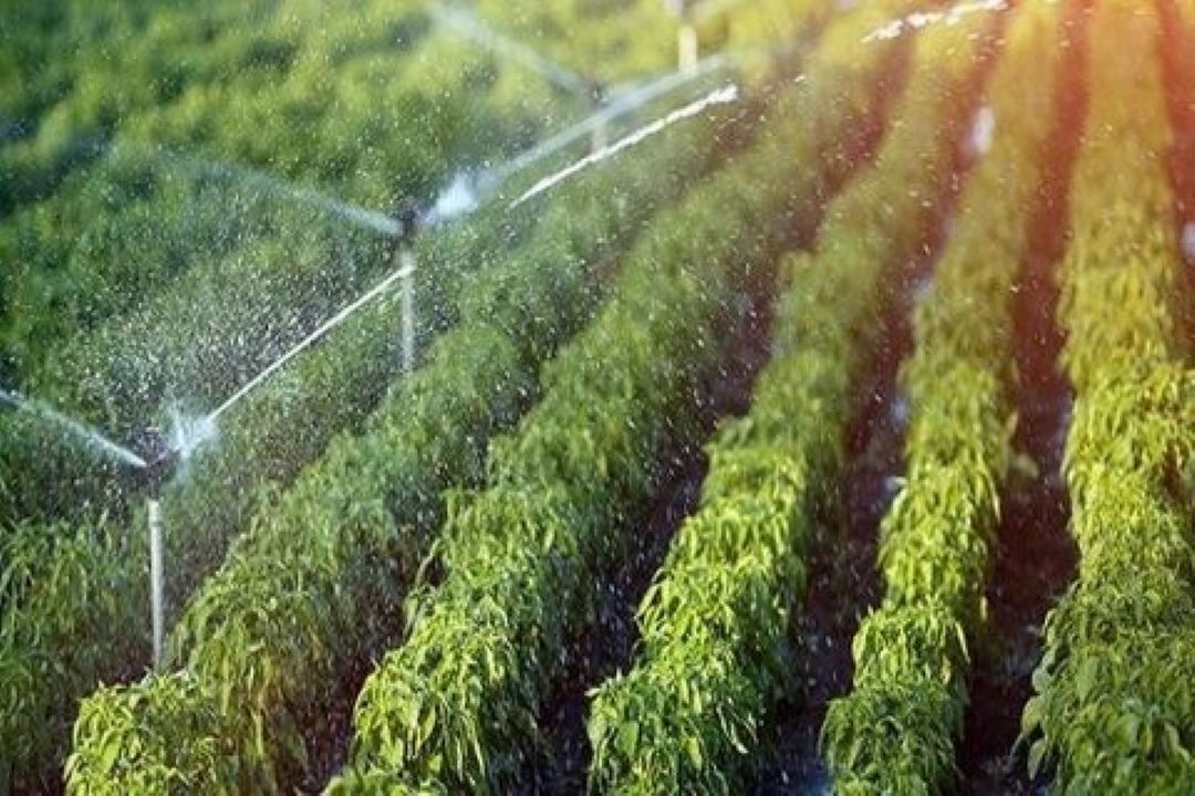 جذابیت‌های گردشگری كشاورزی