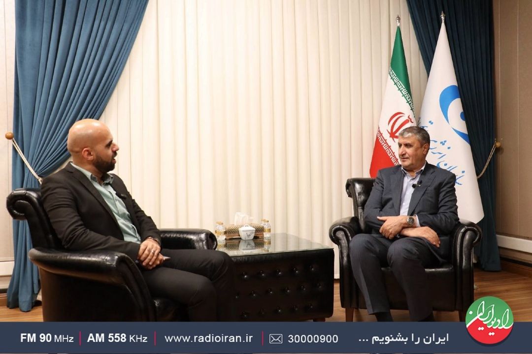 رییس سازمان انرژی اتمی در «هیئت دولت»