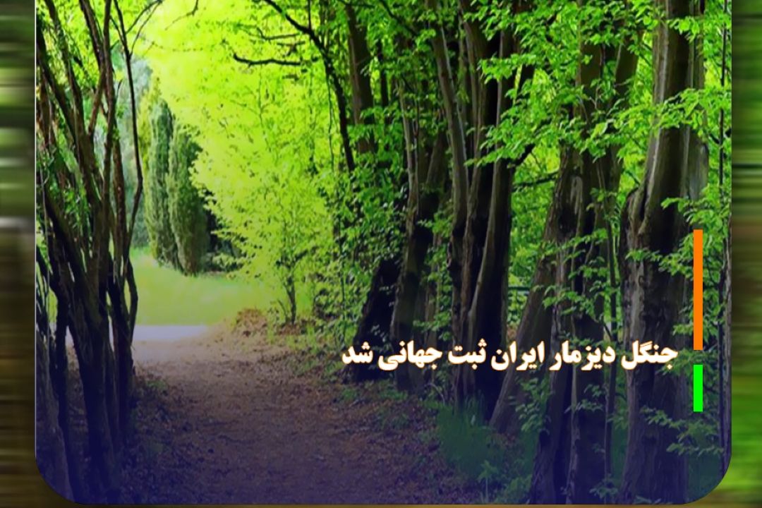 «جنگل دیزمار» ایران ثبت جهانی شد
