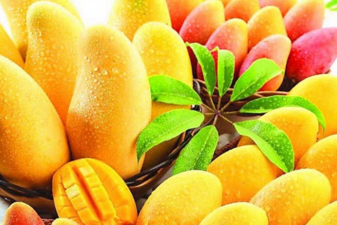 تاثیر انبه در بهبود رفلاكس