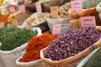 شانس بزرگ ایران برای حضور در بازارهای گیاهی و طب سنتی 