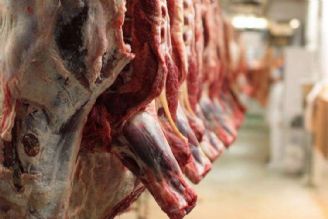 تولید قراردادی گوشت توسط عشایر كشور