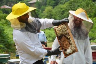 طرح «زنبورداری عشایر» به‌زودی اجرایی می‌شود