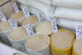 واردات برنج خارجی متوقف شد/ دولت ارقام پرمحصول برنج ایرانی را خرید تضمینی كند