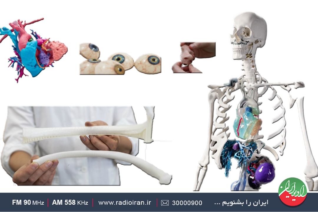 فناوری چاپ سه‌بعدی جان ما را نجات خواهد داد