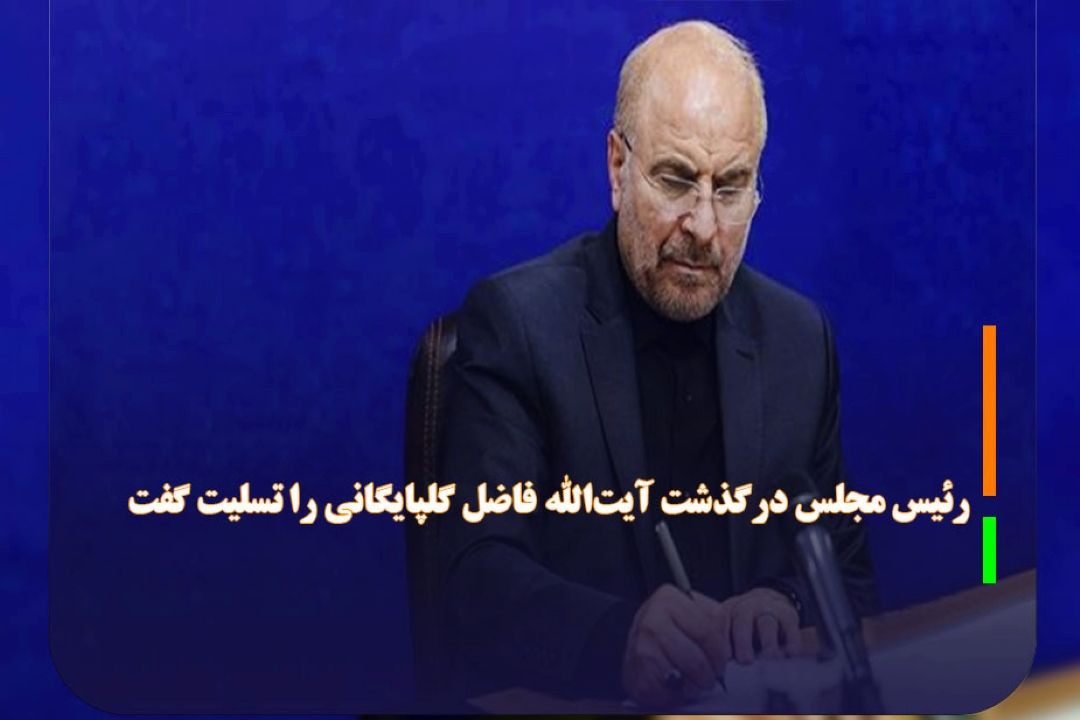 رئیس مجلس درگذشت آیت‌الله فاضل گلپایگانی را تسلیت گفت