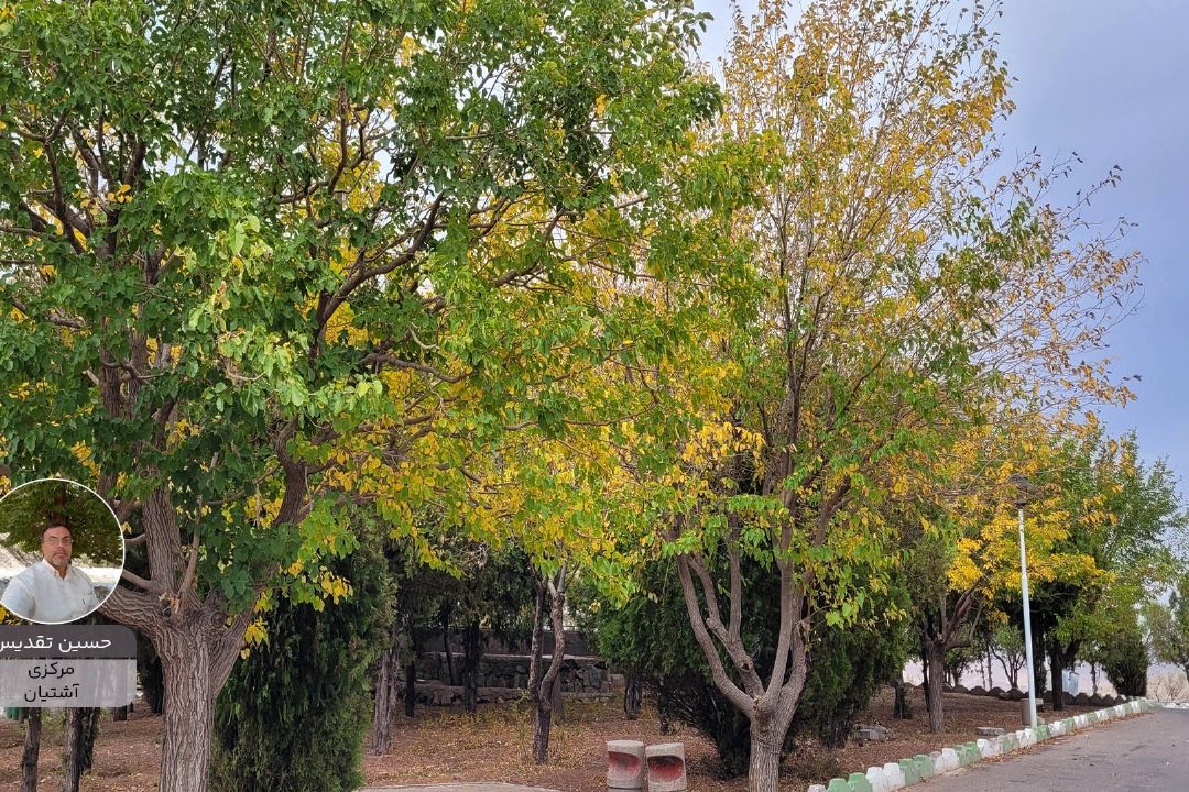 حسین تقدیس پویش زیبای ایران من